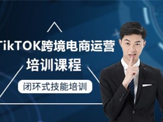 深圳tiktok跨境电商培训(深圳跨境电商培训机构有哪些?哪家比较好)