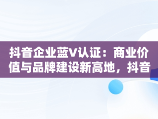 抖音企业蓝V认证：商业价值与品牌建设新高地，抖音企业蓝v认证需要多少钱 