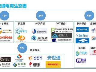 什么是跨境电商平台(什么是跨境电商平台的虚假发货?)
