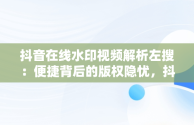 抖音在线水印视频解析左搜：便捷背后的版权隐忧，抖音短视频在线水印解析 