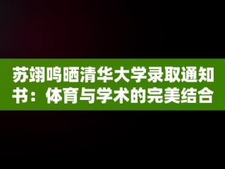 苏翊鸣晒清华大学录取通知书：体育与学术的完美结合，苏翊鸣晒清华大学录取通知书一 