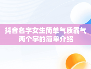 抖音名字女生简单气质霸气两个字的简单介绍