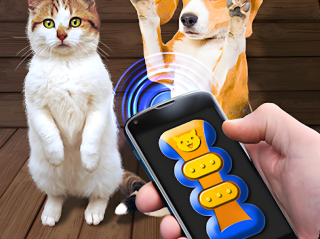 宠物玩具1000+100万,富人的新玩具:3万一只AI宠物