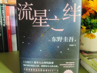 最火的小说排辰东的书名是什么,最火的小说排辰东的书