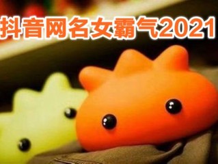 抖音名称.昵称女有内涵,抖音名称昵称女有内涵两个字