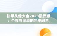 快手头像大全2023最新版：个性与潮流的完美融合，快手头像大全2023最新版图片 