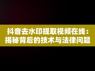 抖音去水印提取视频在线：揭秘背后的技术与法律问题，抖音去水印视频解析在线提取 