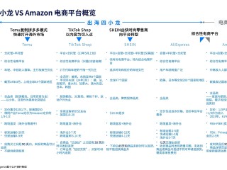 2021跨境电商平台排行榜前十名,跨境电商平台排行榜前十名优点