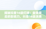 揭秘抖音16级灯牌：金钱背后的影响力，抖音16级消费等级多少钱 