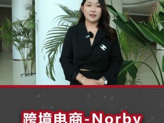 亚马逊黑五什么时候开始2023,2020亚马逊黑五是什么时候2020