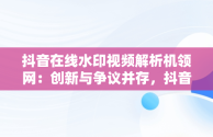 抖音在线水印视频解析机领网：创新与争议并存，抖音在线水印视频解析在线 