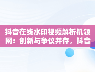 抖音在线水印视频解析机领网：创新与争议并存，抖音在线水印视频解析在线 