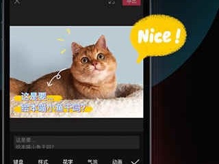 抖音电脑版官网官网(pc版抖音官网)