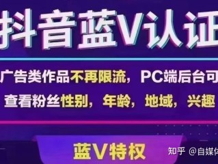 抖音黄v认证多少钱一个(抖音黄v认证多少钱一个账号)