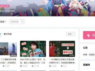 b站视频播放量网站(哔哩哔哩在线看免费观看视频)