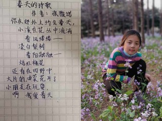 网友自创现代诗母爱,网友自创现代诗