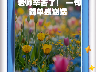老师辛苦了最火的一句(赞扬老师辛勤付出的简短句子)