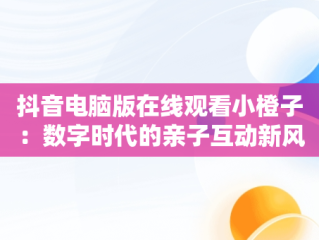 抖音电脑版在线观看小橙子：数字时代的亲子互动新风尚，抖音电脑怎么看视频 