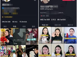 抖音短视频网页版入口,抖音短视频网页网址是什么