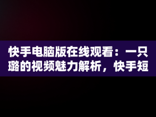 快手电脑版在线观看：一只璐的视频魅力解析，快手短视频怎么在电脑上看 