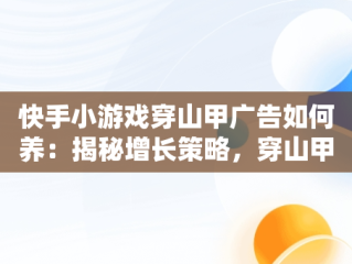 快手小游戏穿山甲广告如何养：揭秘增长策略，穿山甲广告卡包 