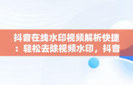 抖音在线水印视频解析快捷：轻松去除视频水印，抖音在线视频水印解析工具 