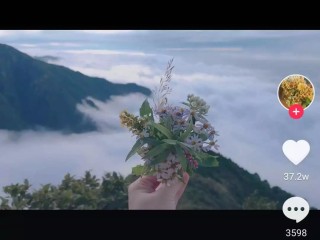抖音电脑版在线使用情歌小涛的简单介绍