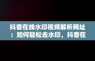 抖音在线水印视频解析网址：如何轻松去水印，抖音在线水印视频解析网址是多少 