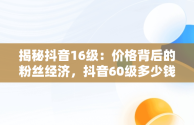 揭秘抖音16级：价格背后的粉丝经济，抖音60级多少钱 