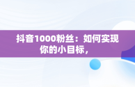 抖音1000粉丝：如何实现你的小目标， 