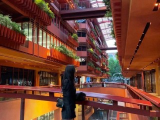 网红商城官方入口,网红商城