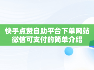 快手点赞自助平台下单网站微信可支付的简单介绍