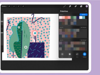 procreate官方正版下载(procreate官方正版下载中文)