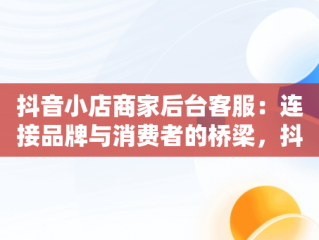 抖音小店商家后台客服：连接品牌与消费者的桥梁，抖音小店商家客服热线 