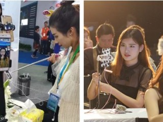 包含网红大事件bt迅雷下载的词条