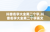 抖音名字大全男二个字,抖音名字大全男二个字英文