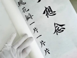 豆包太想念,豆包太想念原唱完整版