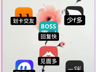 最火爆的交友软件(最火爆交友软件官方旗舰店正版)