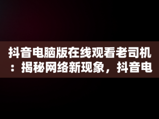 抖音电脑版在线观看老司机：揭秘网络新现象，抖音电脑版在线使用 
