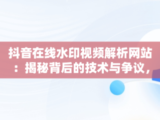 抖音在线水印视频解析网站：揭秘背后的技术与争议，抖音在线视频水印解析工具 