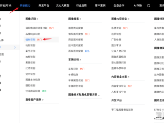 百度ai开放平台简介(关于百度ai开放平台相关问题)