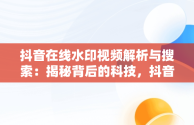 抖音在线水印视频解析与搜索：揭秘背后的科技，抖音在线水印视频在线解析 