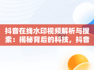 抖音在线水印视频解析与搜索：揭秘背后的科技，抖音在线水印视频在线解析 