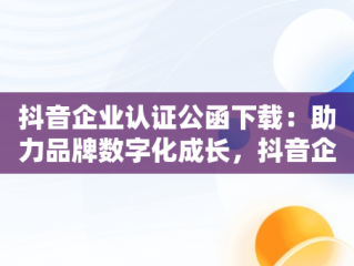 抖音企业认证公函下载：助力品牌数字化成长，抖音企业申请认证公函 