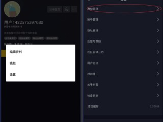 抖音电脑版在线观看官网可看评论,抖音电脑版在线观看官网可看评论记录吗