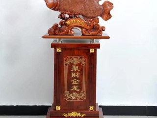 抖音金龙(抖音嘉年华多少钱人民币)