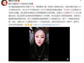 网红辛巴捐款1.5亿辟谣(网红辛巴捐约2亿现金做公益)