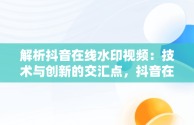 解析抖音在线水印视频：技术与创新的交汇点，抖音在线水印视频解析 代码狗 