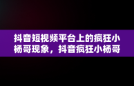 抖音短视频平台上的疯狂小杨哥现象，抖音疯狂小杨哥年收入 