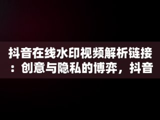 抖音在线水印视频解析链接：创意与隐私的博弈，抖音在线水印视频解析快捷链接 